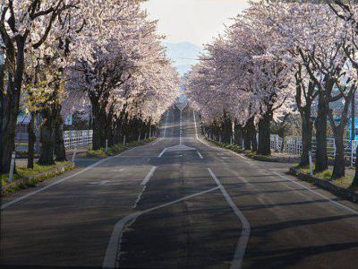 女孩取名大全2023免费取名测试